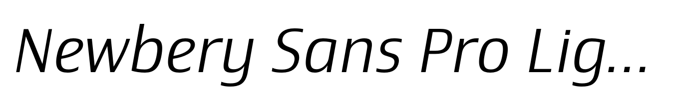 Newbery Sans Pro Light Italic